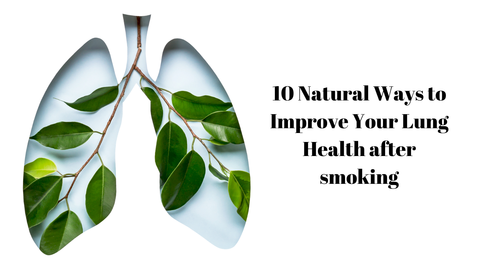 10 Natural Ways to Improve Your Lung Health after smoking