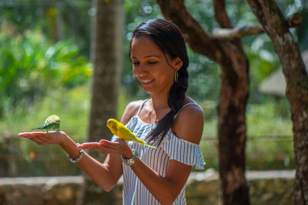 Nature Therapy: Chukka Adventure - Good Hope Adventure Park & Falls - Bird Aviary