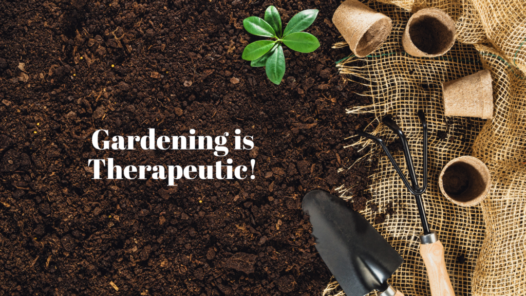 Nature Therapy - gardening is therapeutic