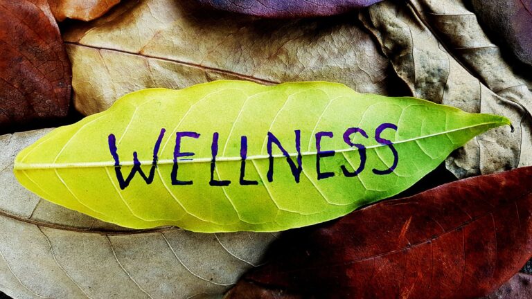 The 9 Dimensions of Wellness: A Holistic Approach to Well-being