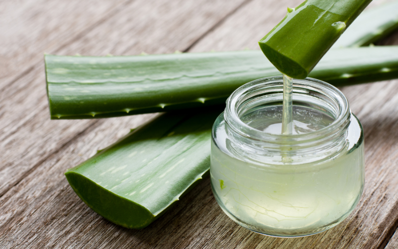 aloe vera organic herbs