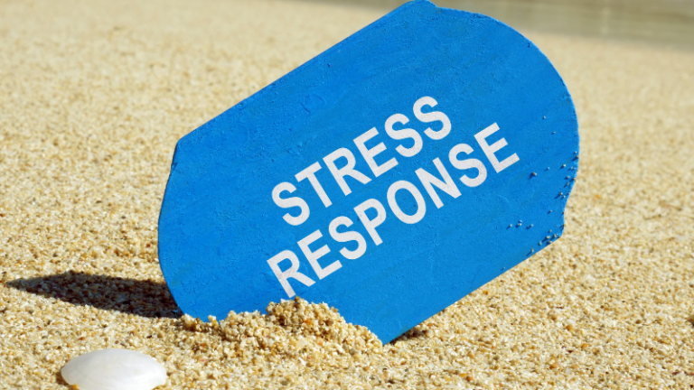 Understanding the Stress Response