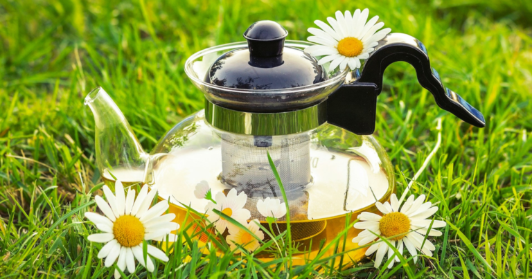 Embracing Chamomile Tea for Women Over 50