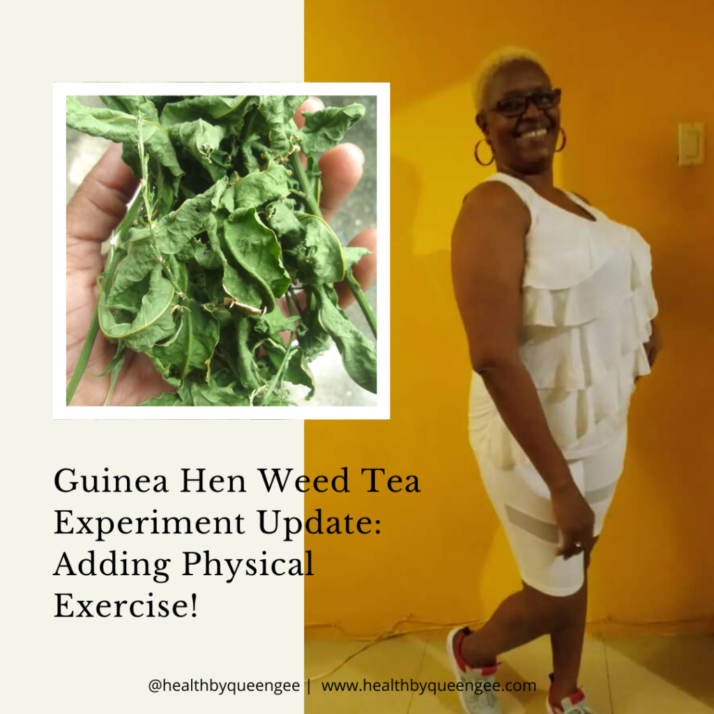 Guinea Hen Weed Tea Experiment Update - Adding Physical Exercise!